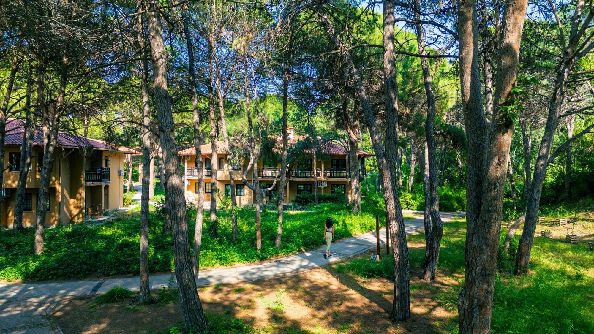 Asteria Family Belek Antalya